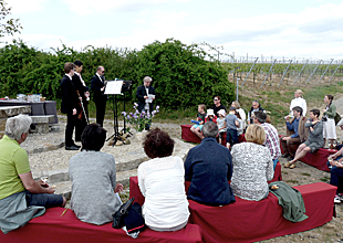 Wein-Wander-Konzert Mai 2015